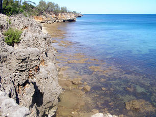 Lagoonwcoastmadagascarm078tsingy-meets-ocean.jpg