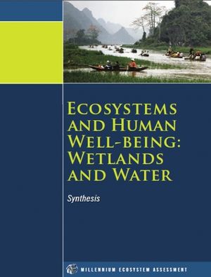 Ecosystems and human wellbeing wetlands-and-water 438x0 scale.PNG.jpeg