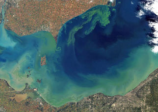 Lake-erie-algae-bloom-regarded-worst-in-decades-nasa-reveals-phosphatefrmagrunoff.jpg