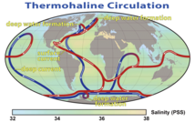 Thermohaline.png