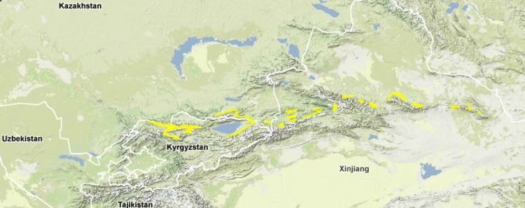 Tian-shan-montane-conifer-forests.png