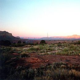 300px-Colorado Plateau Shrublands 1.jpg