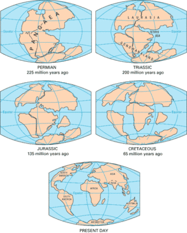 481px-Plate tectonics over time.gif