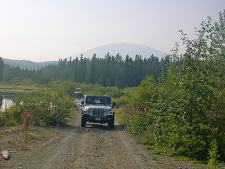 Yukoninteriordryforests.jpg