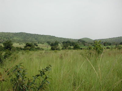 West-sudanian-savanna-burkina-faso.jpg