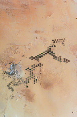 397px-kufra oasis.jpg