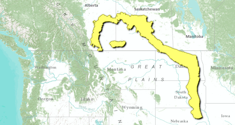 Northern-mixed-grasslands-map.png