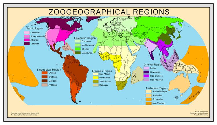 Zoogeographicregions8.jpg