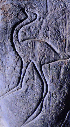 Petroglyphprehistory-draa.jpg