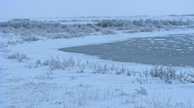 Hudsonbayfrozenpond.jpg