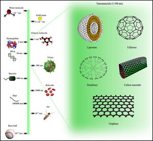 Comparison of nanomaterials sizes.jpg