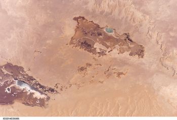 Siwa-oasis.jpg