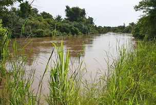 Mekrou-river-in-w-national-park-marco-schmidt.jpg