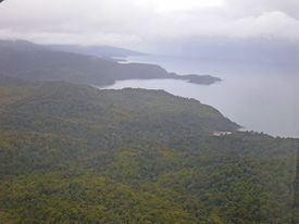 Fiordlandunspoiledforestimgp0199.jpg