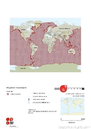Distribution of Humpback Whale.png.jpeg