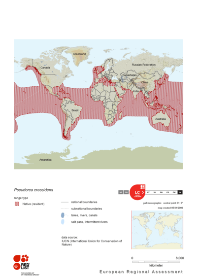 Distribution-of-false-killer-whale.png