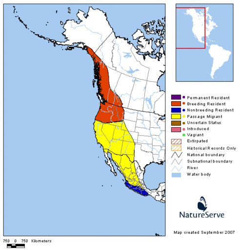 Rufous-hummingbird-distribution-lg.gif