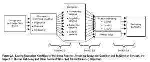 Ecosystems and Human Well-being Vol 1 Fig 2.1.JPG