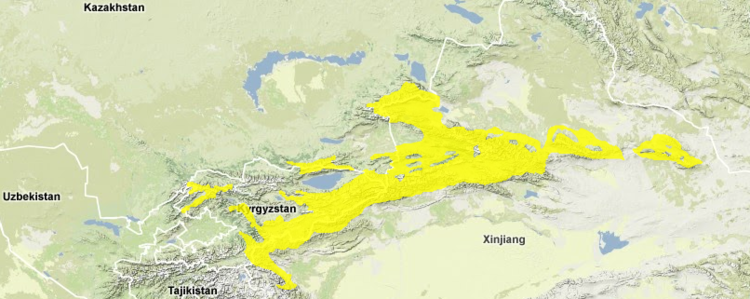 Tian-shan-montane-steppe-and-meadows.png