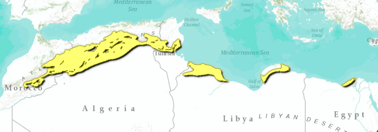 Mediterranean-dry-woodlands-and-steppe-map.png