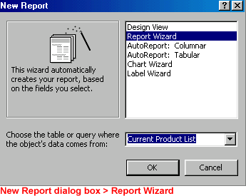 New Report dialog box - Report Wizard