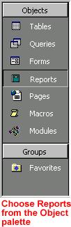 Database window - Report tab chose from Object palette