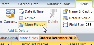 The More Fields drop-down command