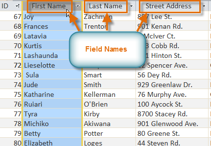 Fields and field names