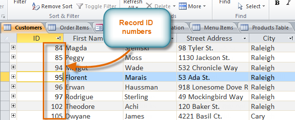 Record ID numbers