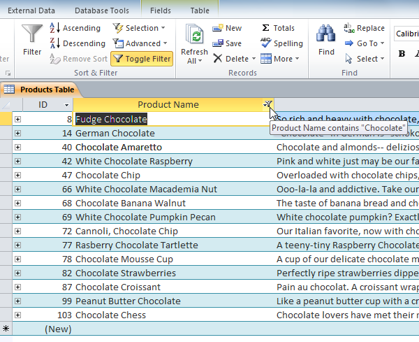 The filtered table, now showing only records with "chocolate" in the Product Name