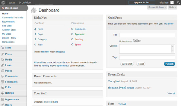 The WordPress dashboard, or interface