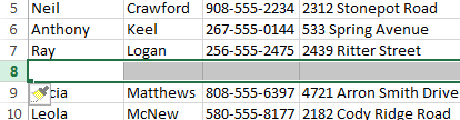 Screenshot of Excel 2013