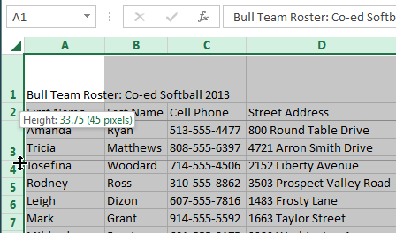 Screenshot of Excel 2013