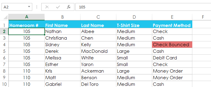 Screenshot of Excel 2013