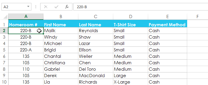 Screenshot of Excel 2013