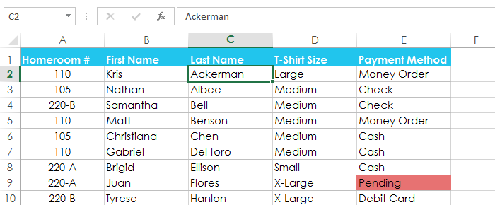 Screenshot of Excel 2013