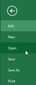 Screenshot of Excel 2013