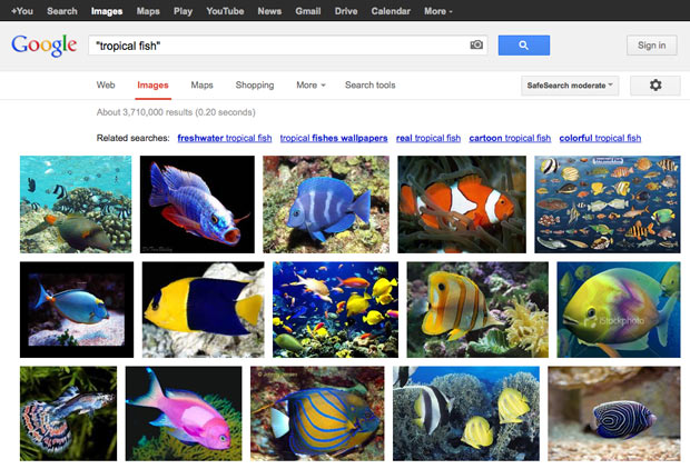 Screenshot of Google image search