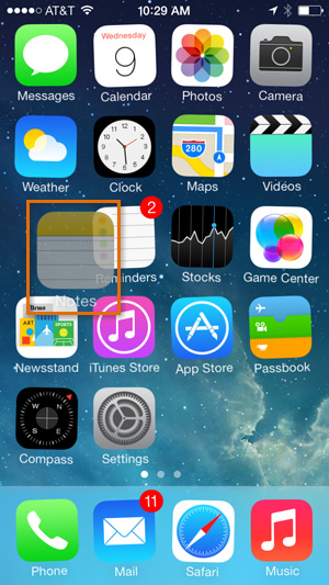 Screenshot of the iPhone