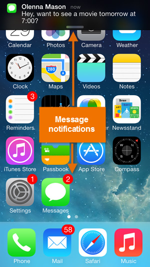 screenshot of the iPhone