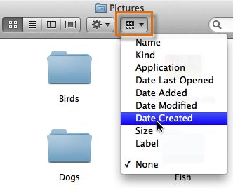 Arranging by Date Created