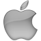 Apple icon