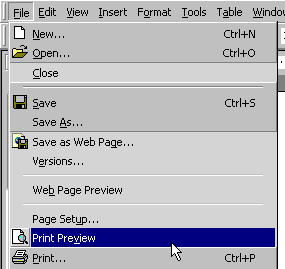 File menu with print preview selected