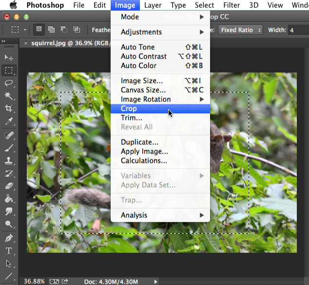 Screenshot of Adobe Photoshop CC