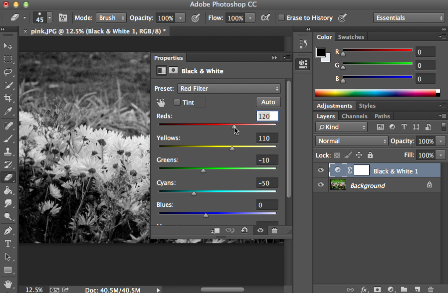 Screenshot of Adobe Photoshop CC