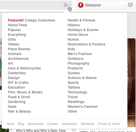 screenshot of pinterest categories