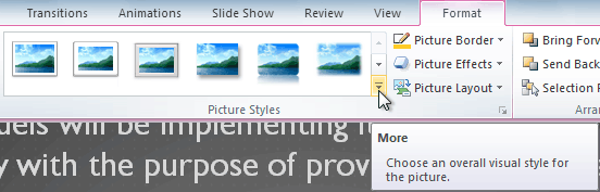 Viewing the Picture Styles