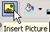 Insert picture button