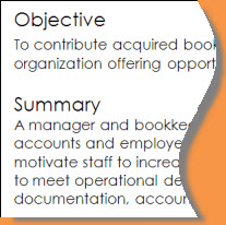 Objective and Summary Example