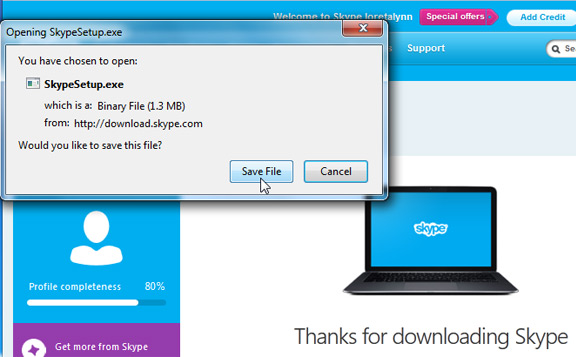 Screenshot of Skype